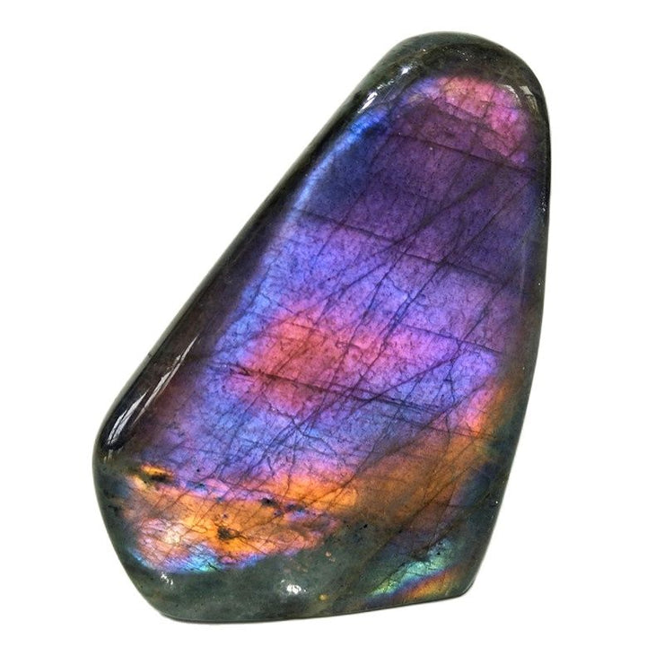 Labradorite Multicolores