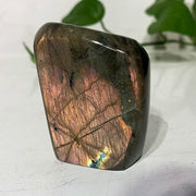 Labradorite Multicolores