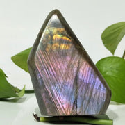 Multicolored Labradorite