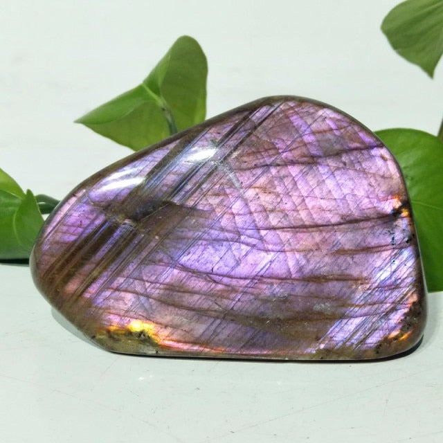 Labradorite Multicolores