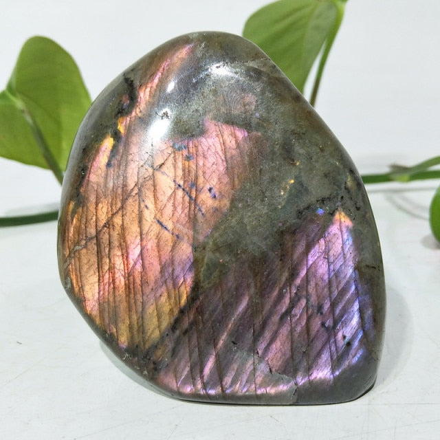 Labradorite Multicolores