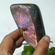 Labradorite Multicolores