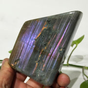 Labradorite Multicolores