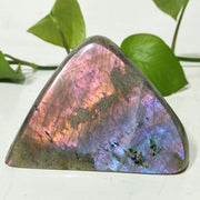 Multicolored Labradorite