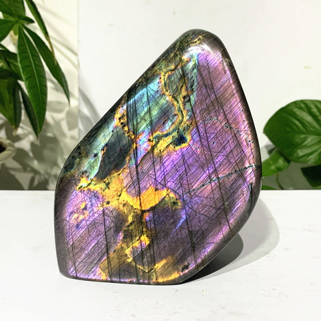 Blocs Labradorite Scintillantes