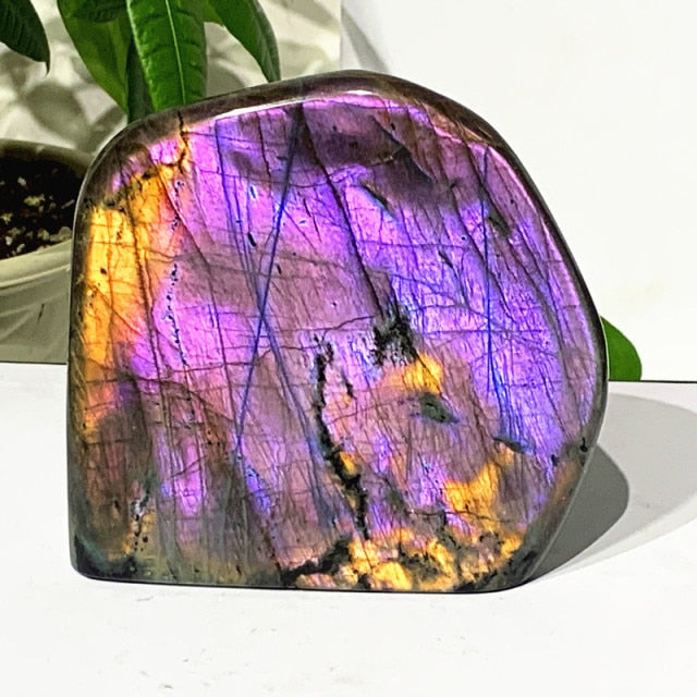 Blocs Labradorite Scintillantes